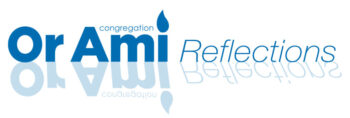 reflections banner reflections banner