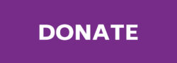 donate button not rounded purple
