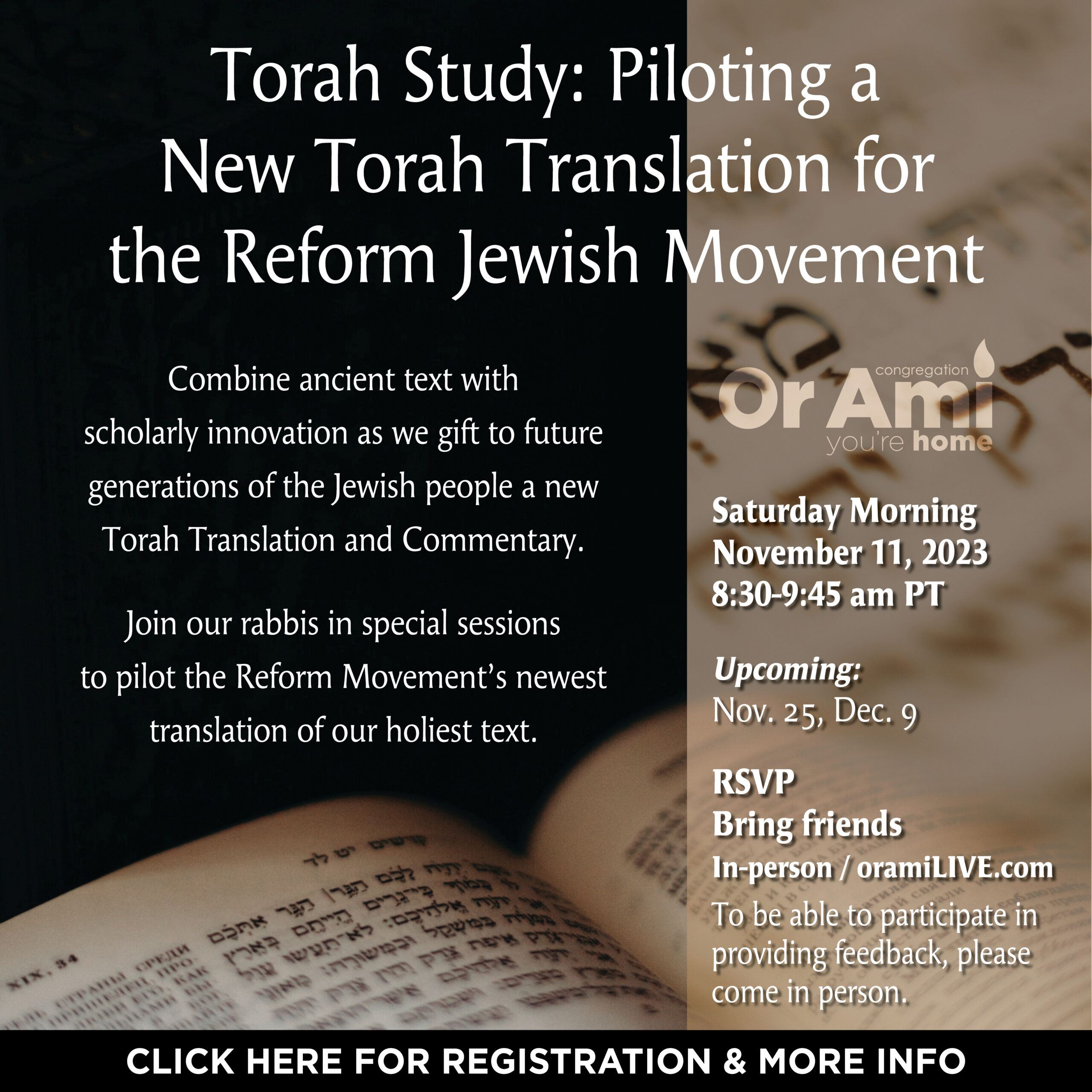 *Or Ami Torah Study- Piloting a New Torah Translation CLICK 11:11