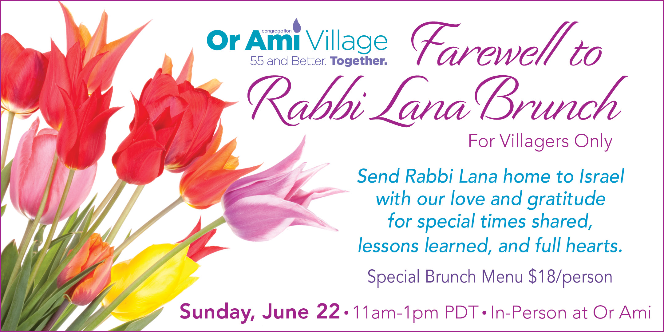 **Or Ami - Village - Farewell to Rabbi Lana Brunch