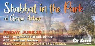 Shabbat in the Park at Grape Arbor June 20 Shabbat in the Park at Grape Arbor June 20