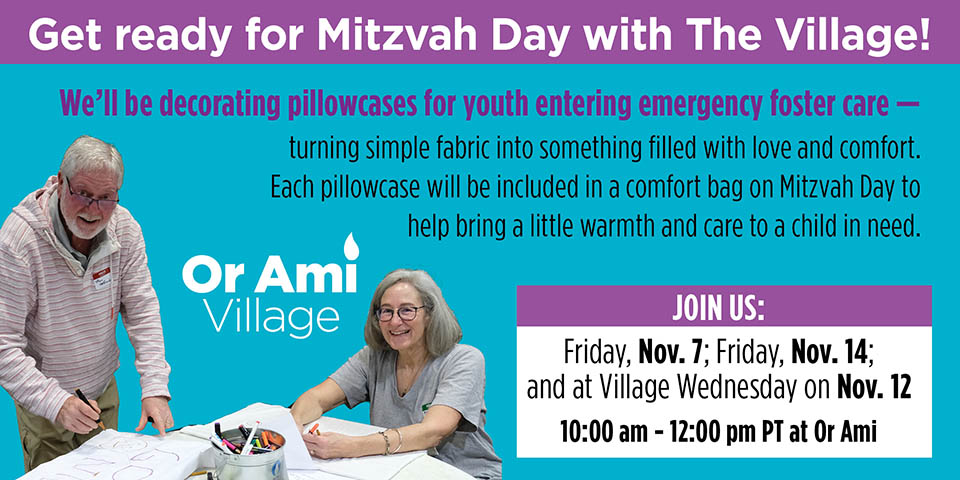 S Village - Decorating Pillow Cases S Village - Decorating Pillow Cases
