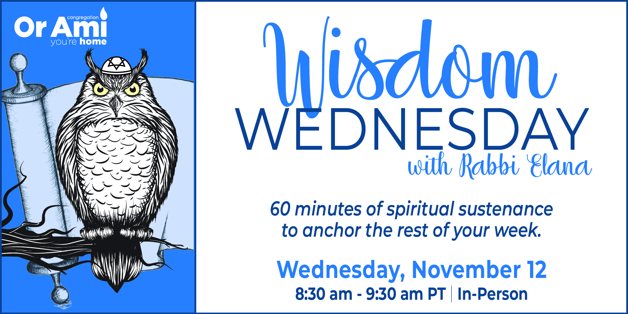 *Or Ami Wisdom Wednesday with Rabbi Elana Nov 12